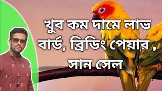 খুব কম দামে ব্রিডিং পেয়ার লাভ বার্ডস,সান কনুর সেল এছাড়া থাকছে lutinofisher opline slipt ino সেল।