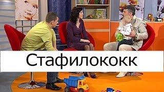 Стафилококк - Школа доктора Комаровского