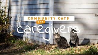 Community Cats: what it takes to care for 150 cats