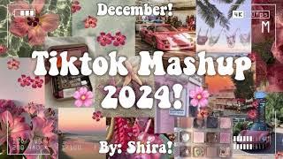 Tiktok Mashup 2024! 