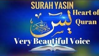 surah Yasin complete with beautiful voice and environment