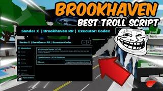 Best Brookhaven Script Avatar Troll Sander X Hub