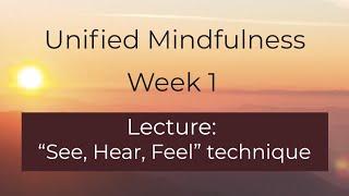 Lecture: "See, Hear, Feel technique" - Week 1 - Unified Mindfulness (Beginner’s Course)