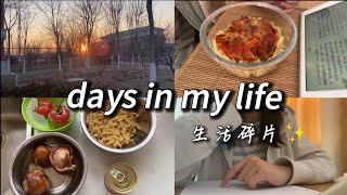 中国留学VLOG｜first outing in 2023｜cooking simple vegan meal｜learning Japanese｜workout, skincare