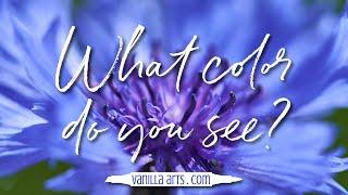 How to Choose Copic Markers for Coloring Projects: Ep. 1 Blue Violet Cornflower