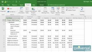 Lesson 13: Communication and Progress Updates - Microsoft Project 2016 Course | Universal Class