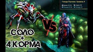 Соло Хард паук + кач корма. Raid shadow legends