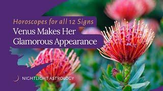 Venus Makes Her Glamorous Appearance - Horoscopes for All 12 Signs