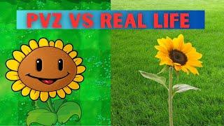 How Realistic is Plants vs Zombies?