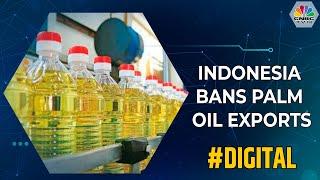 Indonesia Bans Palm Oil Exports