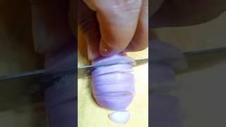 World's Fastest Onion Cutting Challenge  | bullet speed onion cutting | #shorts