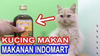 EKSPERIMEN KUCING MAKAN MAKANAN INDOMART