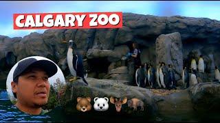 Calgary Zoo First Time Visit | Sulit Na Din Sa Bayad