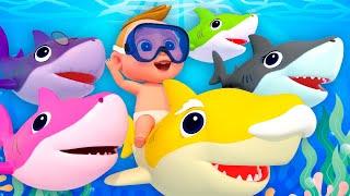 Cá Mập Con | Nhạc Thiếu Nhi Remix Baby Shark Doo Doo | Phim Hoạt Hình Gia Đình Cá Mập