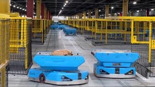 The Dazzling Universe of Amazon Robots