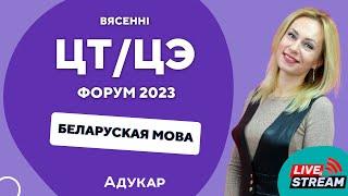 Беларуская мова ЦТ, ЦЭ 2023 | Вясенні  ЦТ, ЦЭ-форум для абітурыентаў 2023