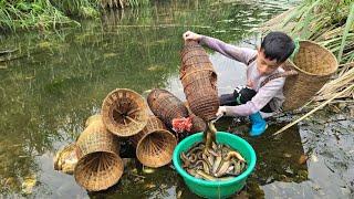 Highland boy khai fish trap, Skill in trapping fish with bamboo baskets, harvesting catfish for sale