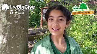 Young Tree Champions Junior Ambassador Programme - Big Give