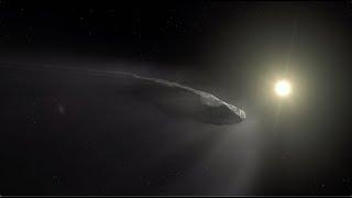 Interstellar objects 'Oumuamua and Borisov studied by European observatories