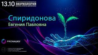 Спиридонова Евгения Павловна – Антропологический оптимизм как фактор рискогенности