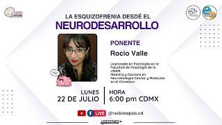 La esquizofrenia desde el neurodesarrollo