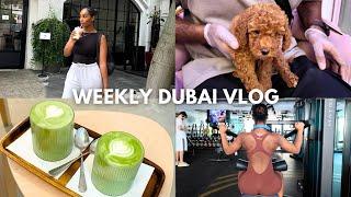 Weekly Dubai Vlog | Getting back into a fitness routine, home decor, pilates & cute puppies