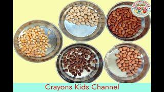 Sorting activity with grains | Home made activities | Toddlers activities