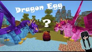 Taming 500 DRAGONS in Minecraft! Dragons++ Epi 4: Baby dragons and Hades wants a girlfriend