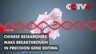 Chinese Researchers Make Breakthrough in Precision Gene Editing