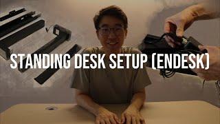 Standing Desk Setup - Endesk