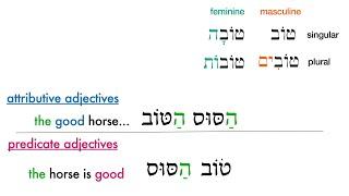Hebrew adjectives: understanding predicate and attributive adjectives