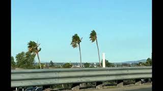 Gusty Winds Around Fremont, CA (1-‎13-‎2025)