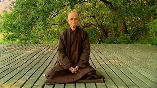 Thich Nhat Han on Meditation 2004 EngStFr