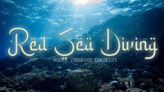 Red Sea Diving - Rocky, Zabargad, Daedelus