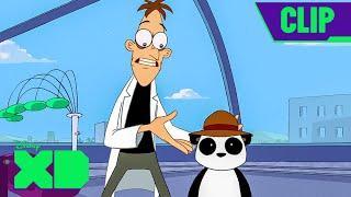 Phineas and Ferb Build a Time Machine | It's About Time! | Phineas and Ferb Full Scene | @disneyxd