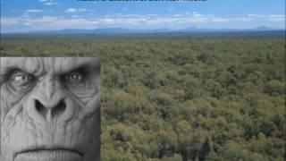 Australischer Bigfoot/Sasquatch: Dokumentation eines Augenzeugen (Deutsche Untertitel) (Gruselig!)