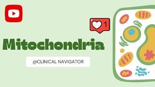 Mitochondria: Powerhouses of the Cell | Functions, Structure, and Genetic Significance Explained