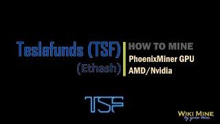 How to mine Teslafunds (TSF) PhoenixMiner GPU