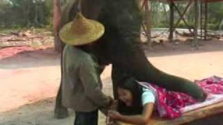 elephant massage