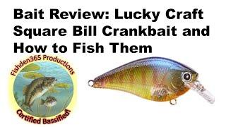 Lucky Craft Square Bill Crankbait Review