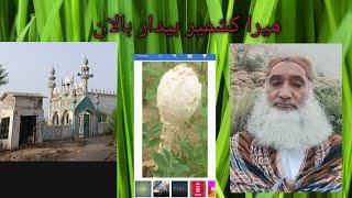 My Kashmir | Badaar | Balan DERA MURAD JAMALI NASIRABAD BALOCHISTAN.