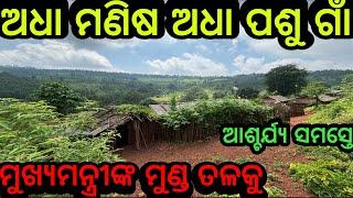 ଅଧା ମଣିଷ ଅଧା ପଶୁ ଗାଁମୁଣ୍ଡ ତଳକୁ ଓଡିଶାର#triballife #charigarhvlog #odiavideo #travelfoodvlog #odisha