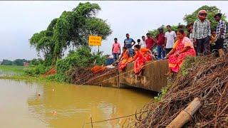 Fishing Video || I would not have believed if I had not seen so many fish in the village canal