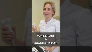 УЗИ печени и эластография сдвиговой волной