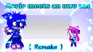 Sonic meets an uwu cat (Remake)