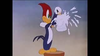 Woody Woodpecker's real singing voice in The Barber of Seville