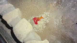 Bag of Cheetos has 'huge' negative impact on Carlsbad Caverns' ecosystem