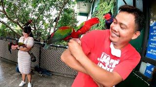 part 3! Cebu adventure at Ocean Park || episode 1 parrot feeding