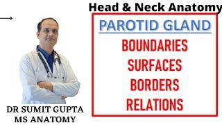PAROTID GLAND (Part-1) || Surfaces || Borders || Relations ||
