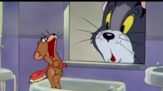 Tom And Jerry English Episodes - Baby Puss - Cartoons For Kids